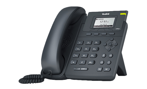 Yealink T19P